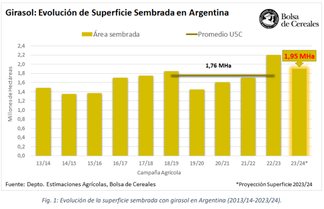 siembra girasol arg