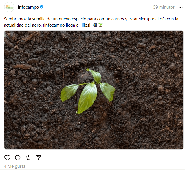 Threads: el ecosistema digital suma una nueva red social y el campo ya es protagonista 1 threads infocampo