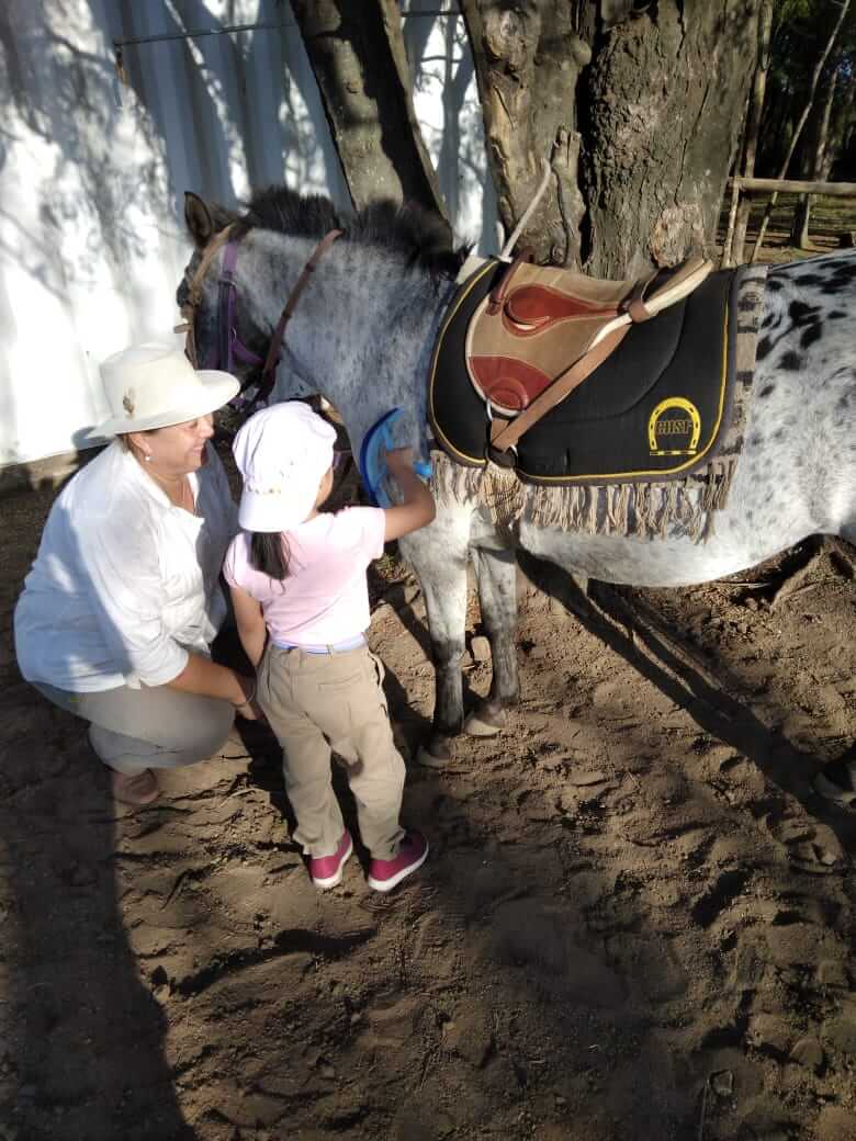 ¿Por qué la Equinoterapia incrementa la autoestima y la seguridad en los chicos? 1 equinoterapia