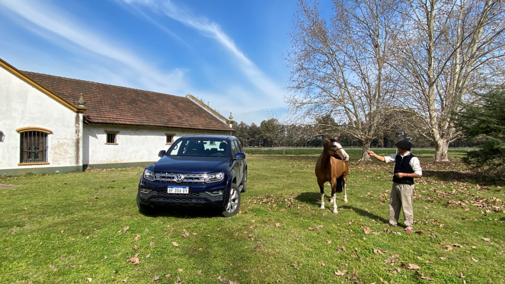 amarok v6 caballo