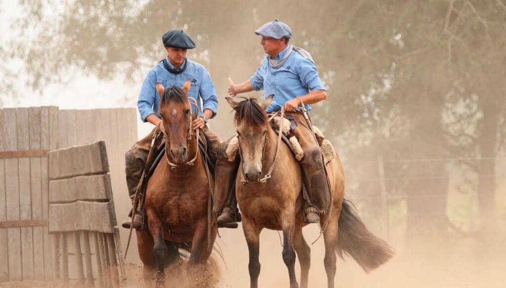 caballo ortelli