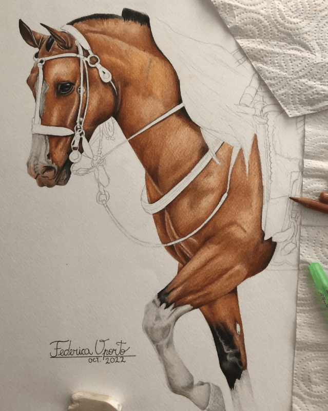 Federica, la joven que encontró en el dibujo una manera de estar cerca de los caballos 4 Captura de Pantalla 2023 09 04 a las 14.56.18