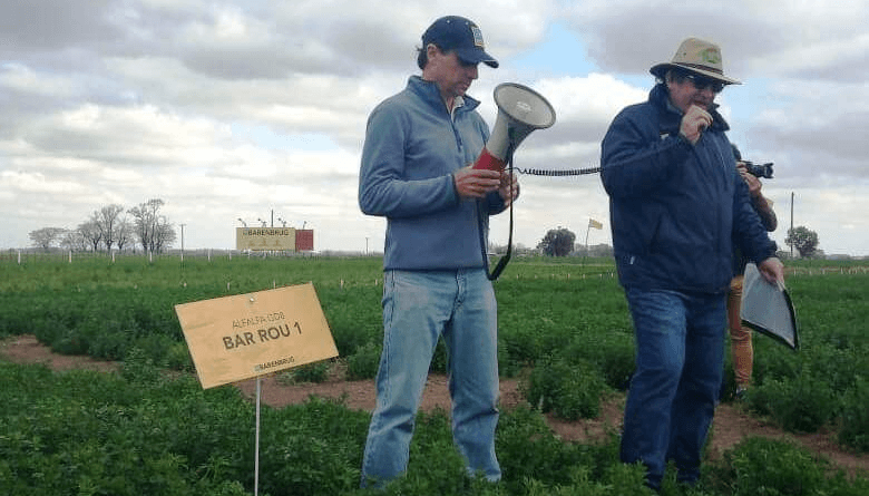 Eficiencia en pasturas: la calidad del forraje germina desde la semilla