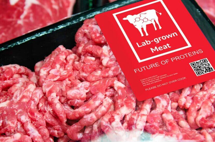 ¿Se acabó el boom de la carne artificial?: por qué varios países analizan prohibirla 1 Carne sintetica 3