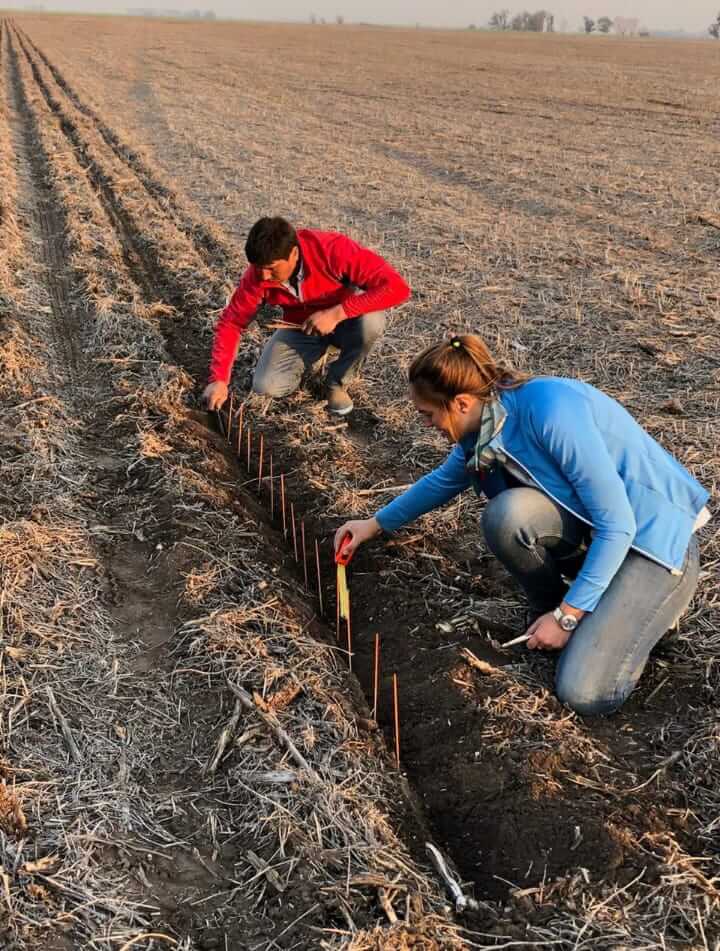 En el campo control de siembra