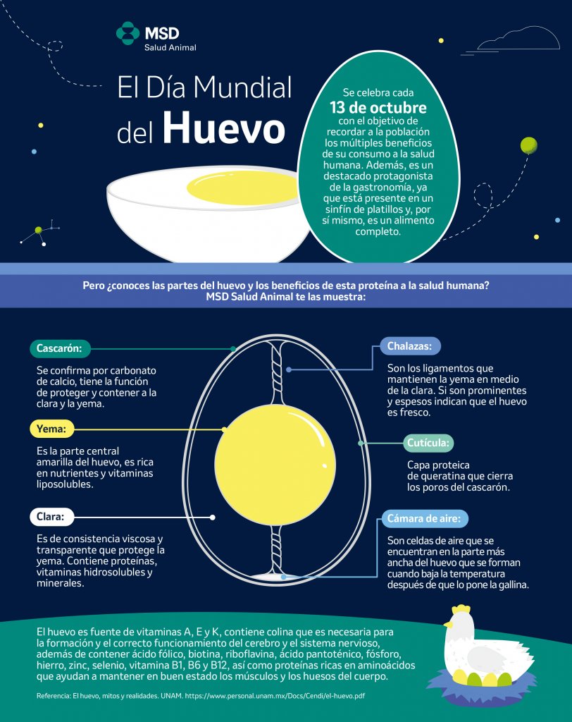 Infografiia Diia del Huevo SA