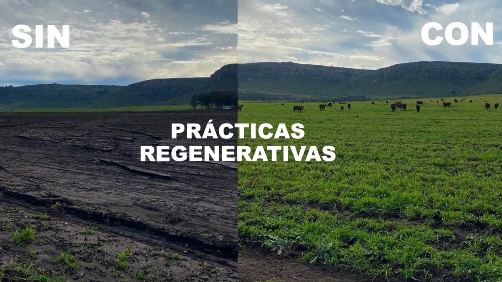 Argentinos crearon una "climatech" que transforma las prácticas sustentables en activos digitales 1 PHOTO 2023 10 30 12 20 54