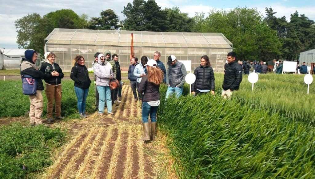 Un campo experimental en Pergamino, con toda la tecnología para recetear la agricultura