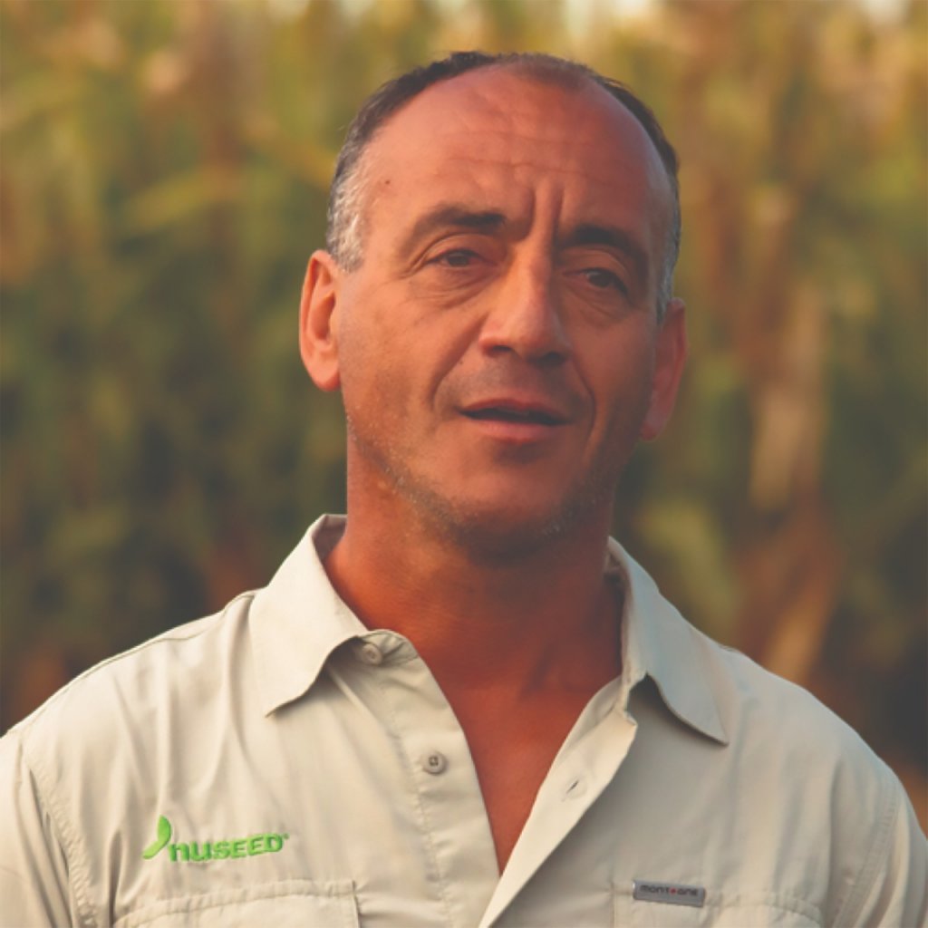 El girasol quiere volver a ser protagonista en una campaña incierta 2 WhatsApp Image 2023 10 26 at 09.53.57
