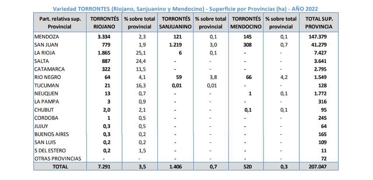 torrontes superficie