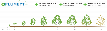 1699641868862 Fenologia soja FLUMEYT