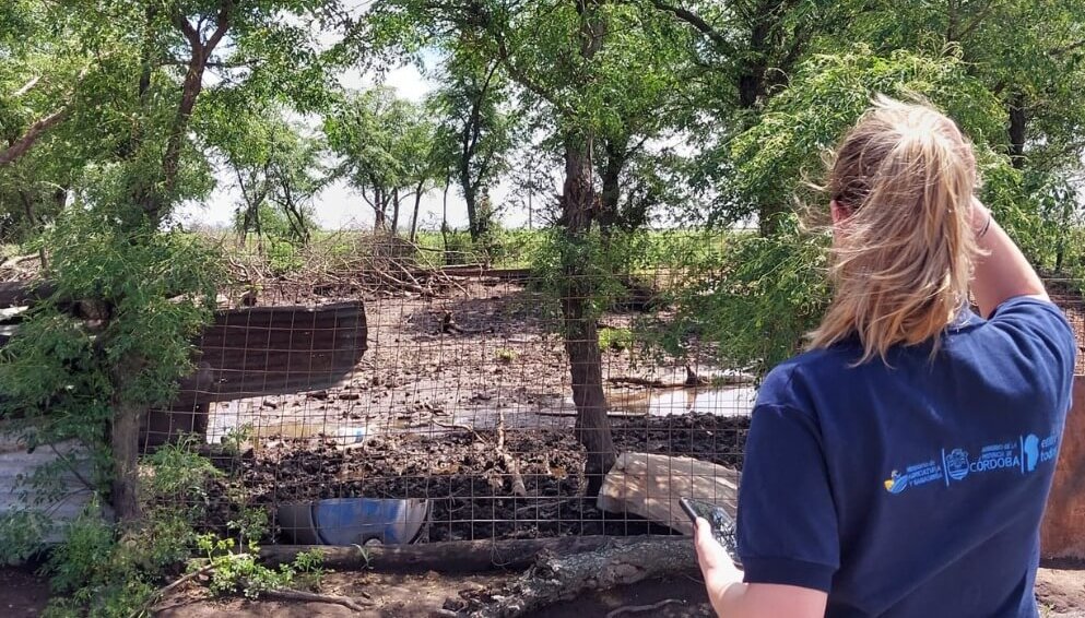 Córdoba: en un pueblo había corrales con animales en terrenos públicos y vendían lácteos de manera ilegal