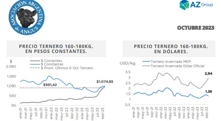 El stock de terneros sigue en baja y presiona los valores de la invernada 1 ROSGAN 11