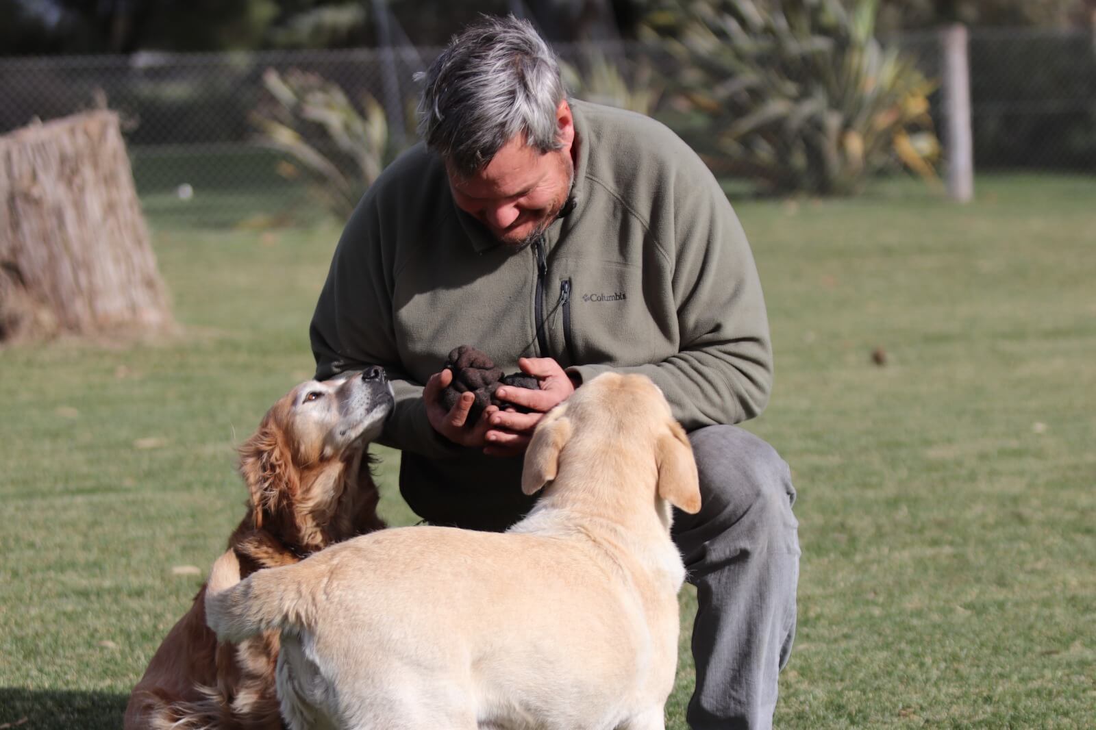 agustin trufas perros