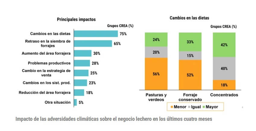 crea 1