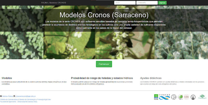 Trigo sarraceno: los datos de un estudio nacional que demostró el potencial de este "pseudo cereal" 1 CRONOS