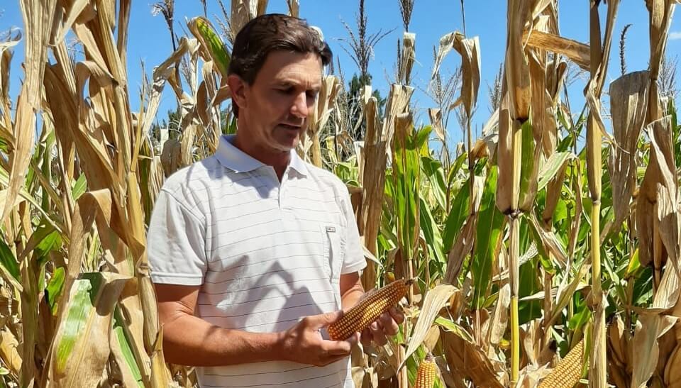 Fabio, el productor entrerriano que hace hasta 3 cultivos por campaña y ya casi no usa herbicidas