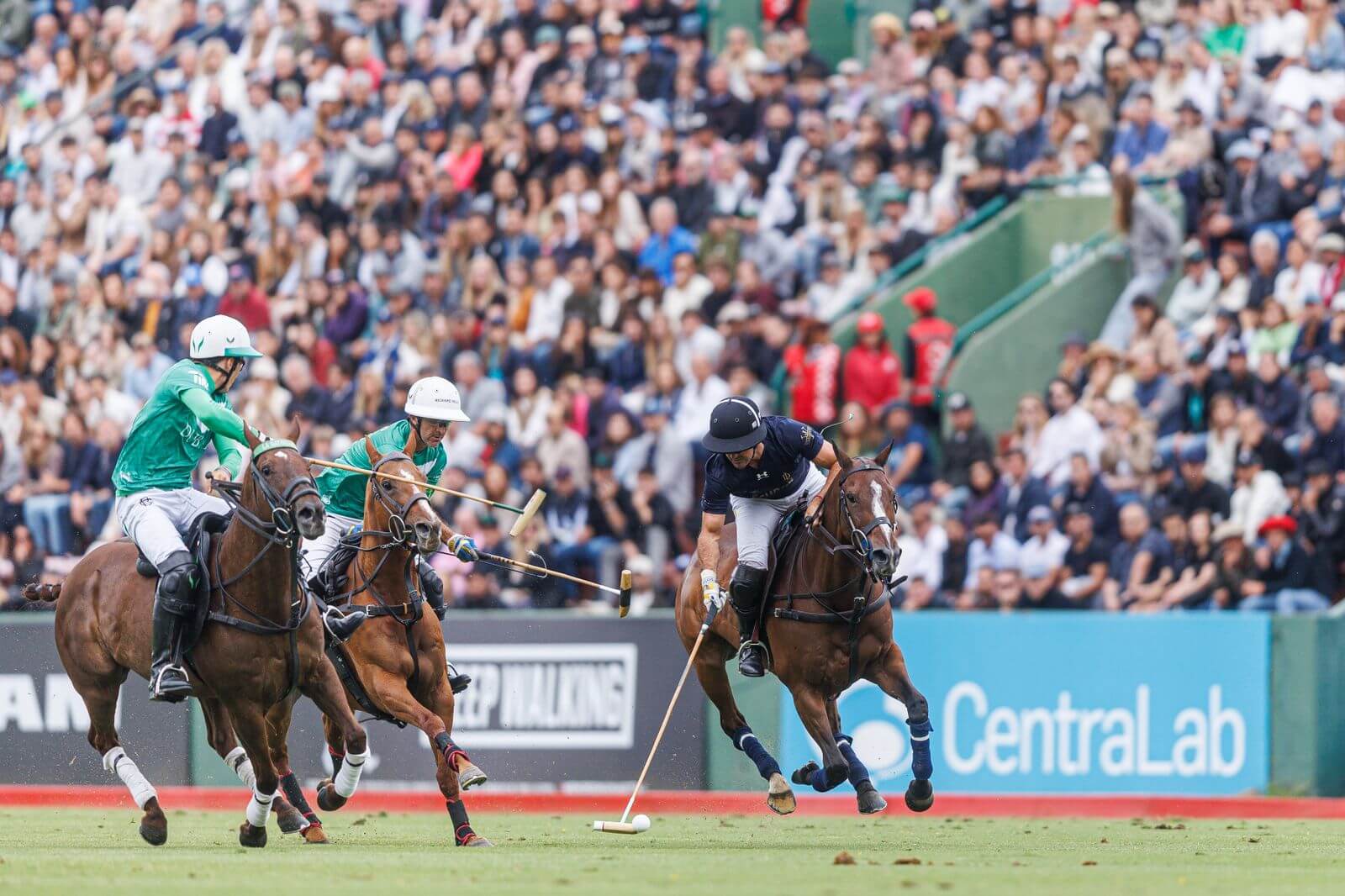 polo final