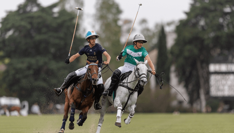 polo palermo