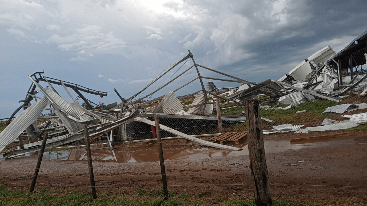 Fuertes daños por tormentas en Freyre, Córdoba. (Imagen de Darío Pérez FMR)
