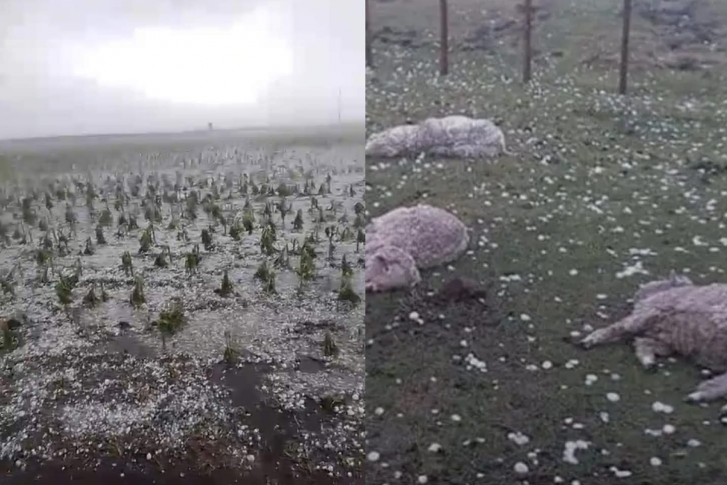 tormenta granizo danos