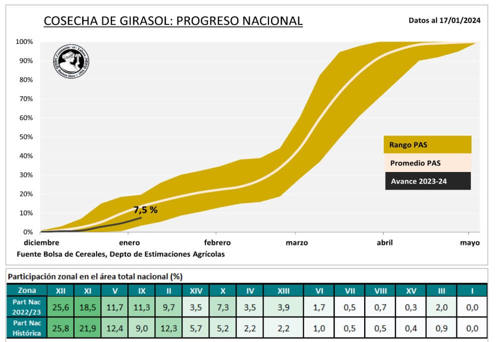 GIRASOL