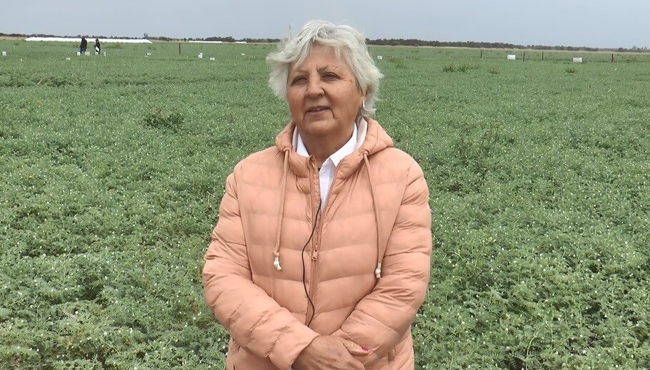 Julia, la científica que hace posible la expansión del garbanzo en Argentina