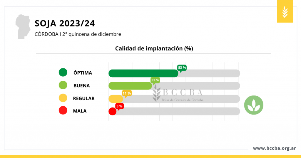 Soja 202324 calidad de implantacion