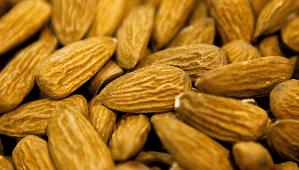 Las gestiones dieron fruto y Brasil abre su mercado a las almendras argentinas
