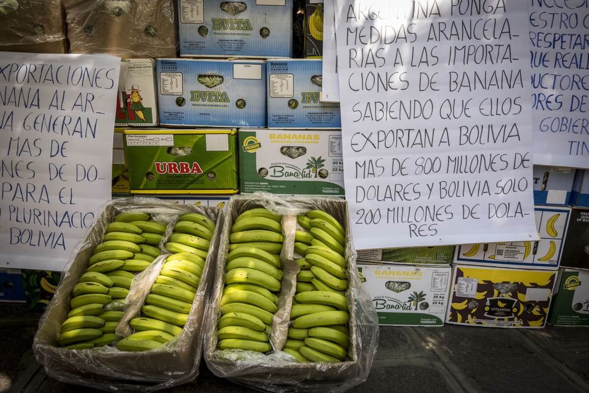 bananas bolivia