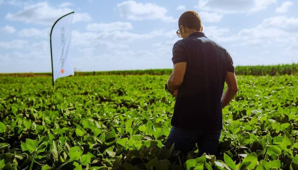 El agro en tiempos del Niño: el monitoreo constante como herramienta para prevenir la presencia de insectos y hongos