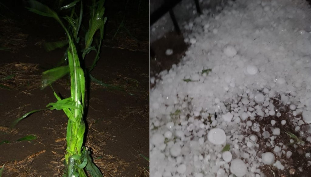 Siguen las fuertes tormentas: ahora las sufrió Córdoba y se estiman graves daños en cultivos