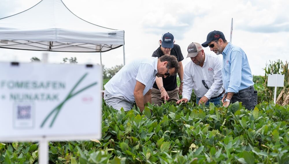 Equipo de HELM en accion