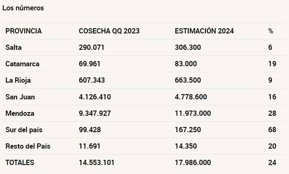 Uvas cosecha 2024