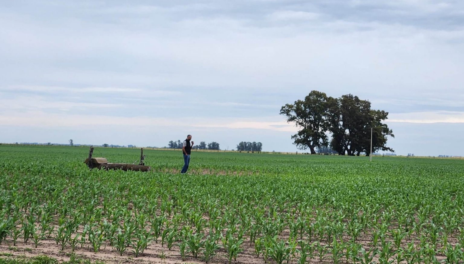 De crear piezas para sat&eacute;lites, al campo y las sembradoras: un ingeniero mec&aacute;nico y su empresa familiar apuestan por el agro