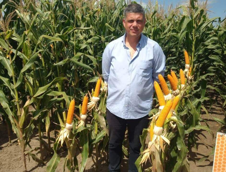 Maíz Flint: las ventajas de un cultivo especial, con sello europeo y mejor precio para el productor 3 WhatsApp Image 2024 02 27 at 13.48.25 1