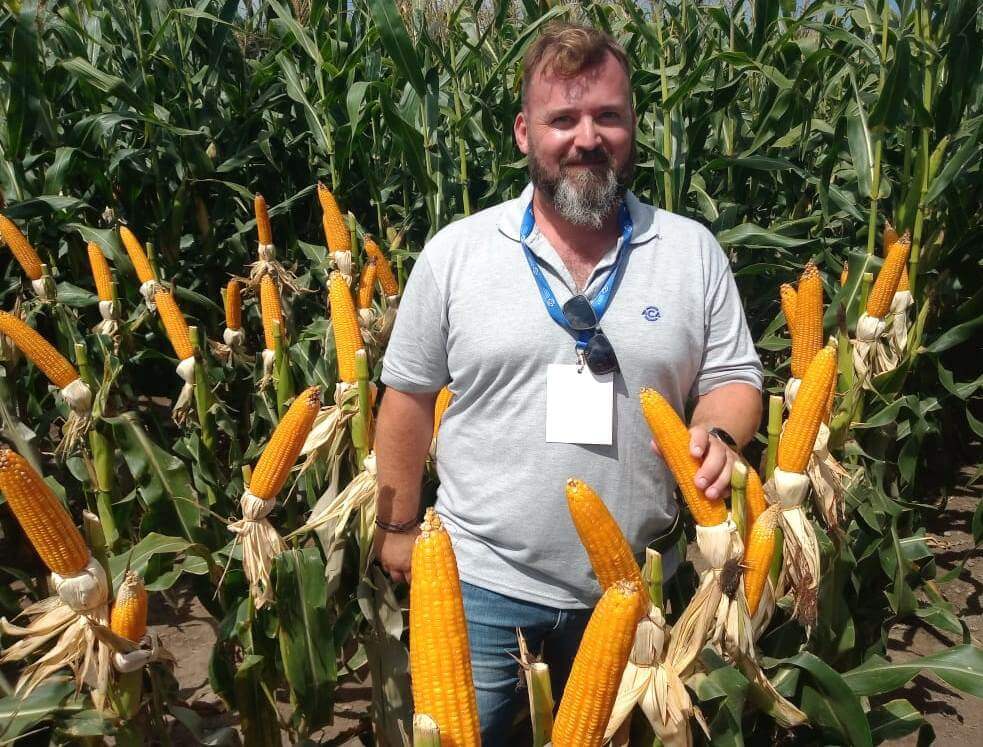 Maíz Flint: las ventajas de un cultivo especial, con sello europeo y mejor precio para el productor 1 WhatsApp Image 2024 02 27 at 13.48.25