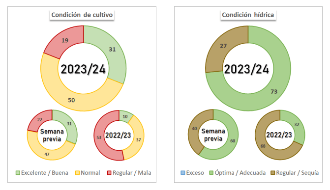 soja estado y condicion