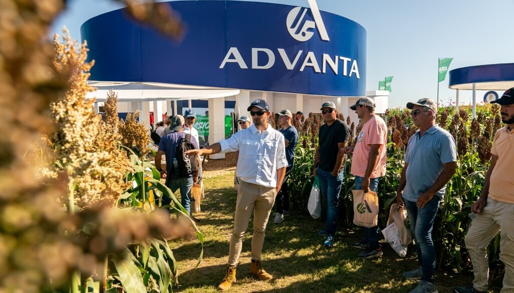 Hay una tendencia mundial de consumo consciente en la que el sorgo tiene una oportunidad