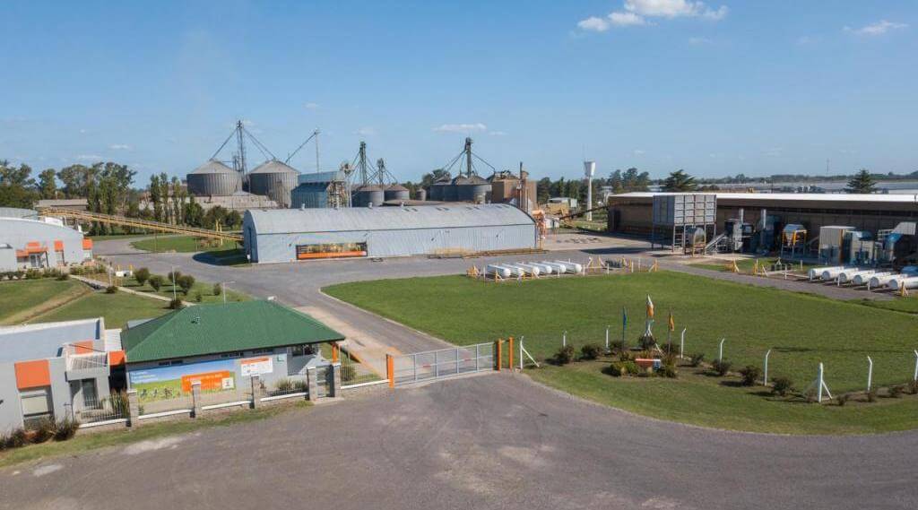 Semillas: KWS confirmó la venta a GDM de su negocio de maíz en Sudamerica 1 WhatsApp Image 2024 03 28 at 12.24.55 1