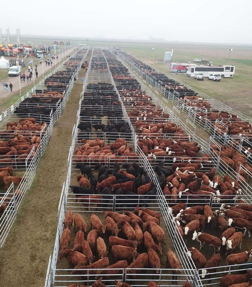 agroactiva ganaderia