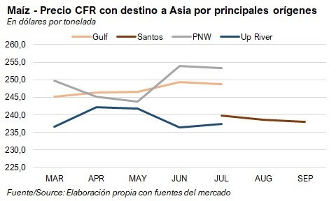 grafico moscariello