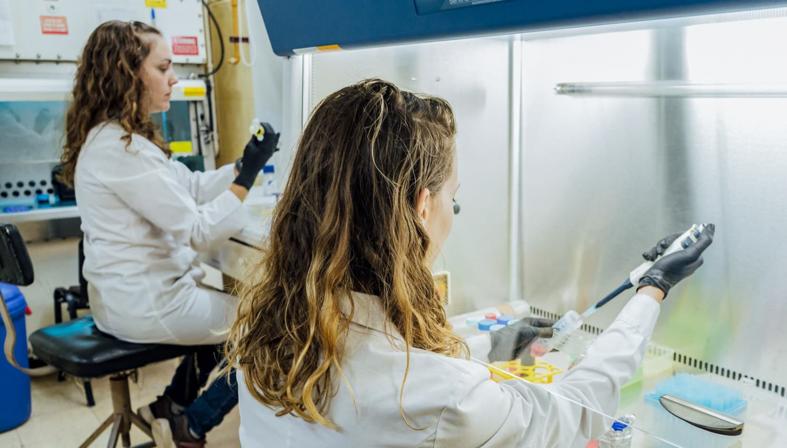 Campo y salud: una investigaci&oacute;n determin&oacute; alta circulaci&oacute;n de un tipo de hepatitis en cerdos de Argentina