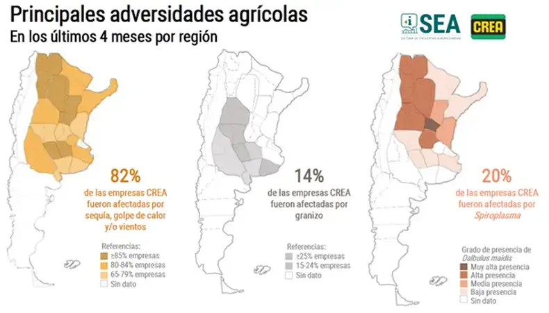 mapa crea chicharrita