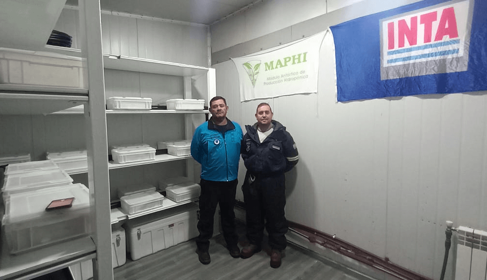 La hidroponia se expande en la Antártida y llega a la base argentina más austral