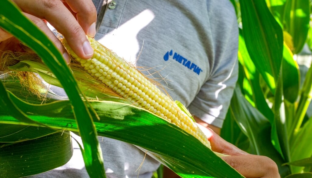 El riego por goteo subterráneo también buscará nutrir los negocios en Expoagro