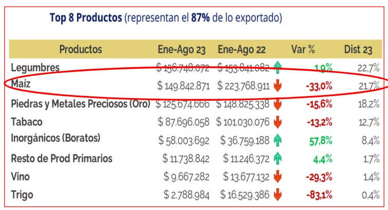Chicharrita del maíz: Vilella viaja a Santa Fe para reunirse con productores y funcionarios provinciales 1 Maiz Salta