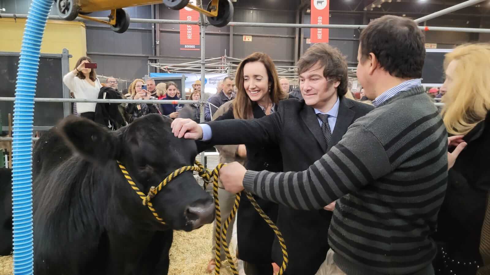 De los granos, a la carne y la leche: ¿cómo está la economía de los principales productos del campo? 2 Milei toro