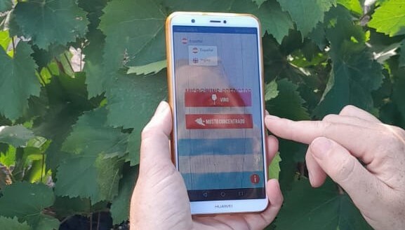 Microbiología predictiva: desarrollan una app que corrige los defectos del vino y el mosto