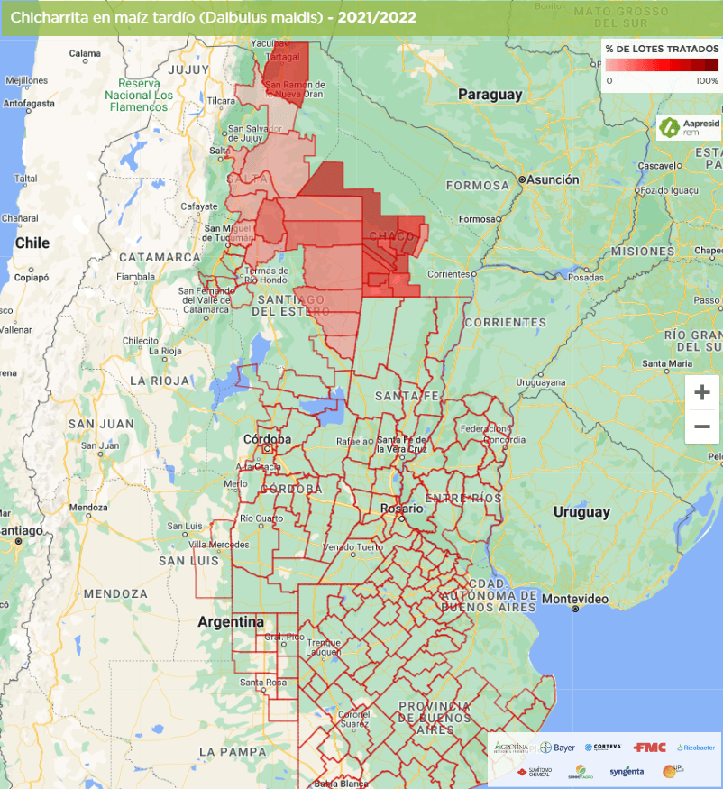 chicharrita mapa aapresid